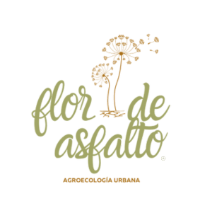 Flor de Asfalto